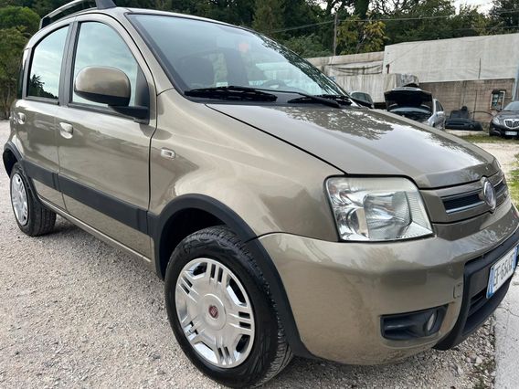 Fiat Panda 1.4 Climbing Natural Power