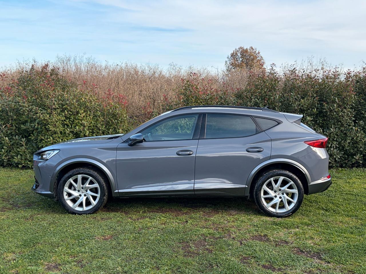 Cupra Formentor 2.0 TDI 4Drive DSG