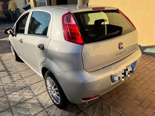 FIAT Punto 1.2 8V 5 porte Young