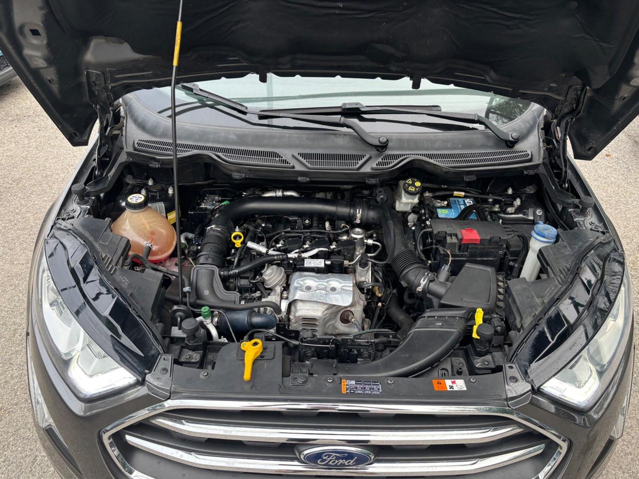 Ford EcoSport 1.0 benzina 125 CV Titanium OK NEOPATENTATO