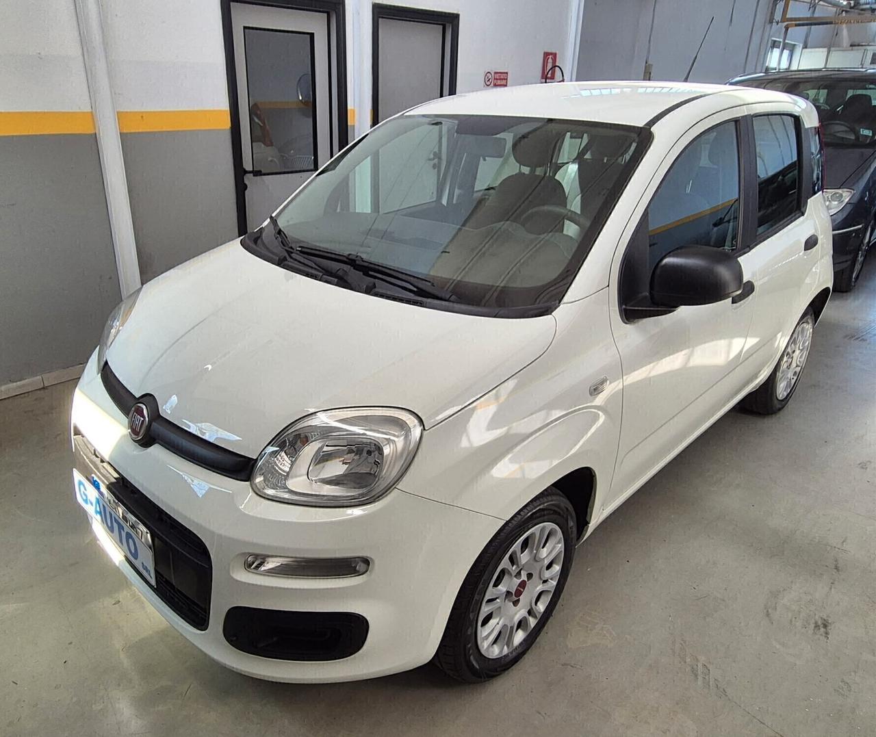 Fiat Panda 1.2 Easy 2019 Unico Proprietario