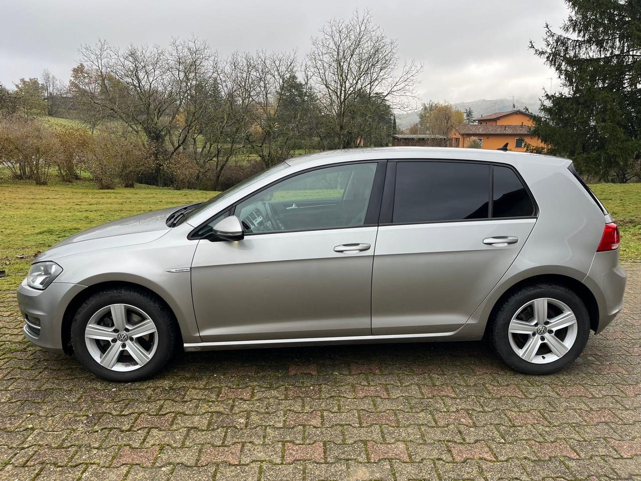 VOLKSWAGEN GOLF 1.4 TGI 110cv DSG FINE 2016