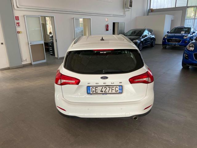 FORD Focus 1.5 EcoBlue 120 CV automatico SW Business Co-Pilot