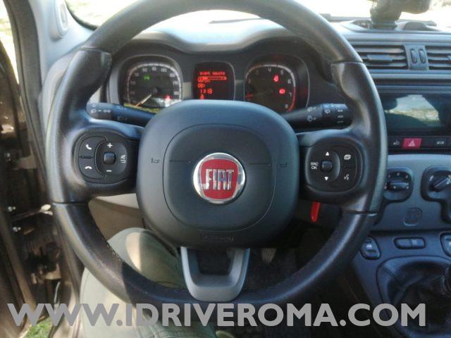 FIAT Panda 1.2 LOUNGE plus +GPL "DIVERSI COLORI IN SEDE"