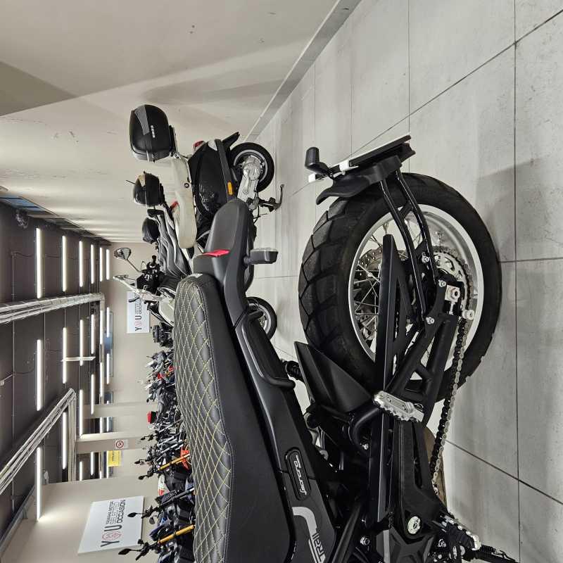 Benelli Leoncino 500 Trail - 2023