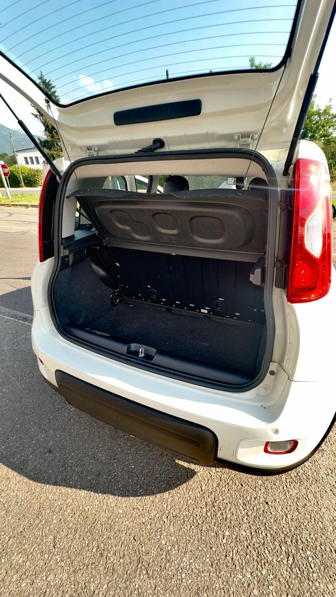 Fiat Panda 1.0 FireFly S&S Hybrid