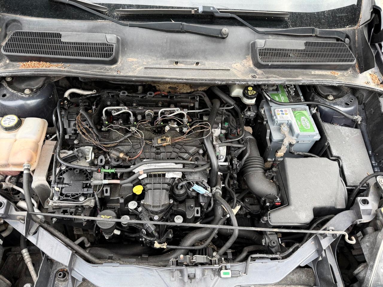 Ford Kuga 2.0 TDCi 163 CV 4WD Powersh. Individual DPF