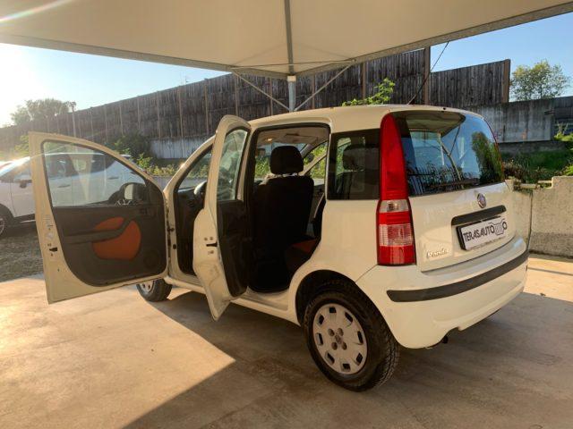 FIAT Panda 1.2 MyLife OK NEOPATENTATI EURO 5