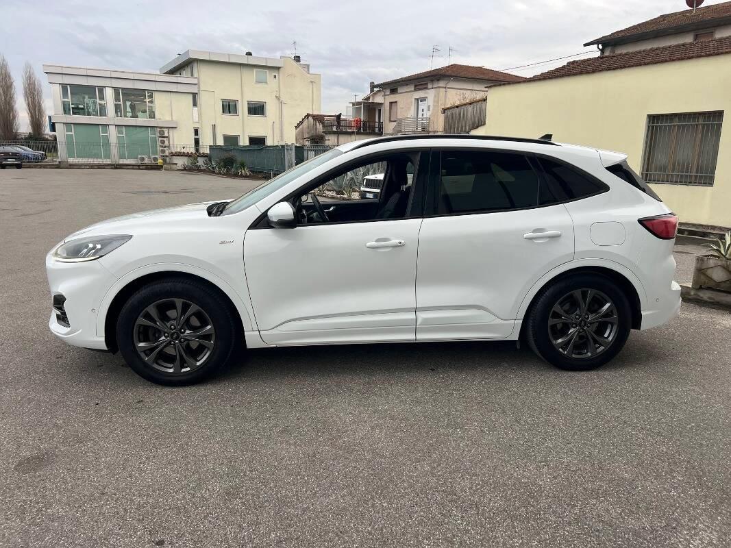 Ford Kuga 1.5 ecoblue ST-Line X 2wd 120cv