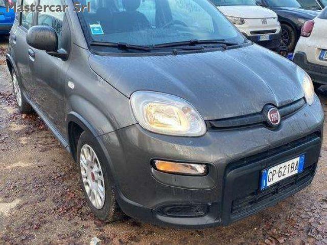 FIAT Panda Panda III 2021 1.0 firefly hybrid tg : GP621BA