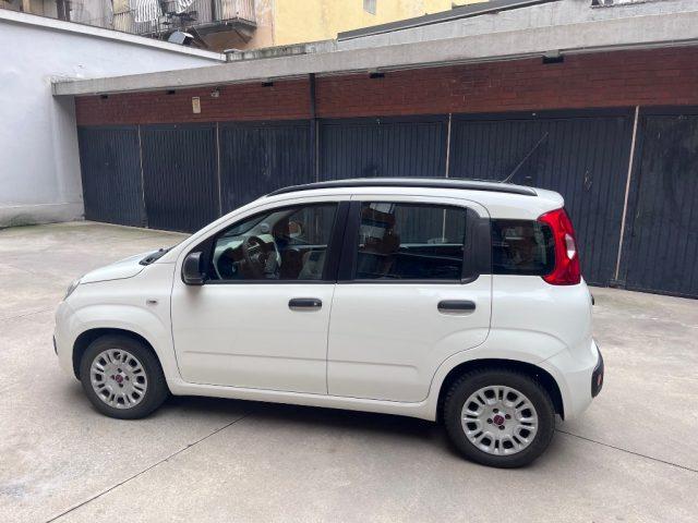 FIAT Panda 1.2 Easy euro 6 benzina distribuzione eseguita