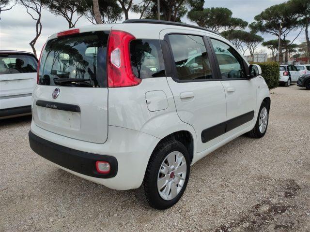 FIAT Panda New 1.2 GPL Lounge CLIMA OK NEOPATENTATI