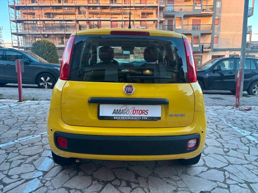 Fiat Panda 1.0 firefly hybrid Pop s&s 70cv