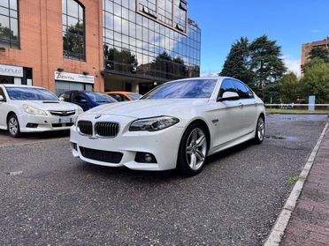 BMW Serie 5 Berlina 525d Msport E6