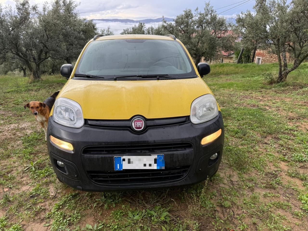 Fiat Panda 1.3 MJT S&S 4x4
