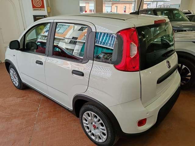 Fiat Panda 1.0 Hybrid 70cv Radio Bluetooth 36 Rate da 177,95