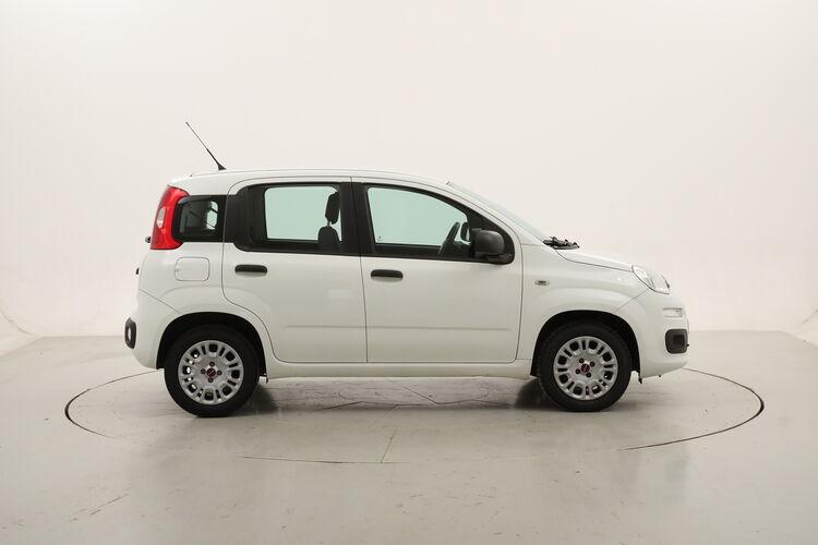 Fiat Panda Easy BR223738 1.2 Benzina 69CV