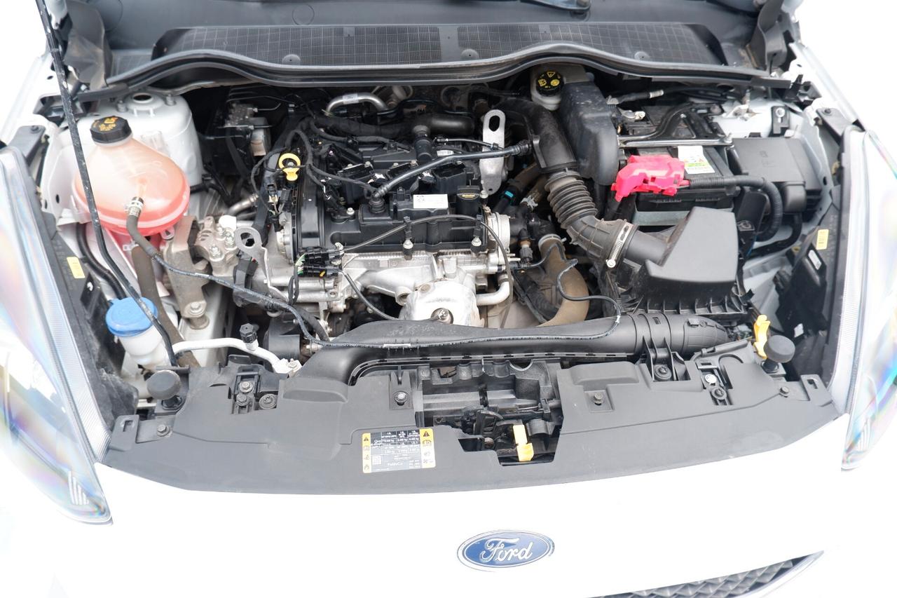 Ford Fiesta 1.1 75 CV 3 porte Van Trend
