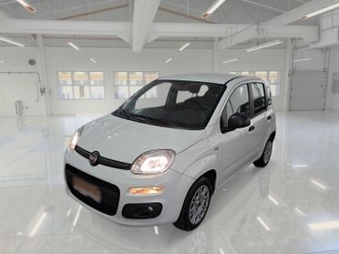 FIAT PANDA 1.2 69 CV SES E6D-TEMP EASY 5 PORTE BERLINA
