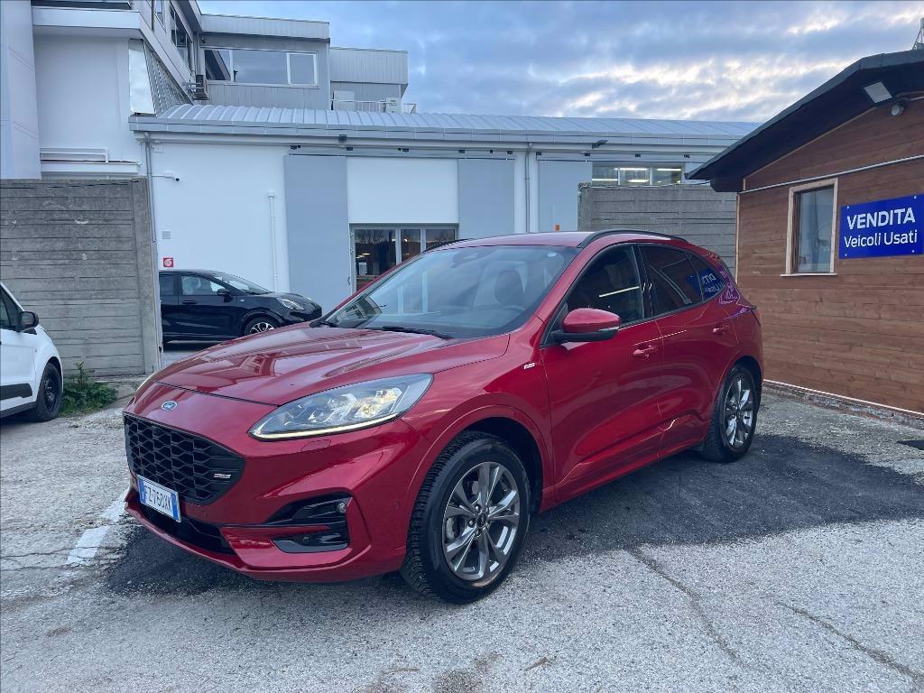 FORD Kuga 1.5 ecoblue ST-Line X 2wd 120cv auto del 2020