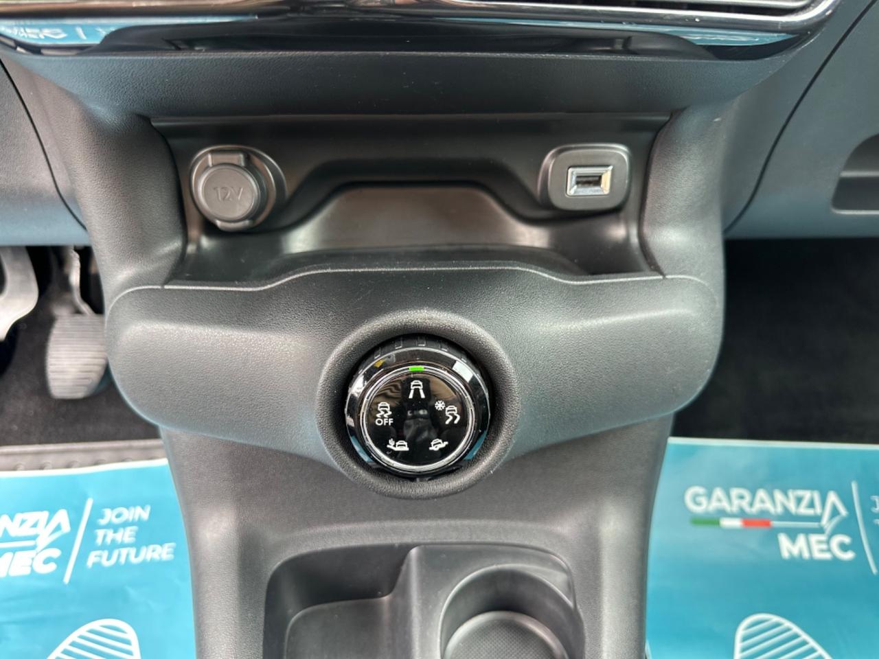 Citroen C4 Cactus BlueHDi 100 Rip Curl