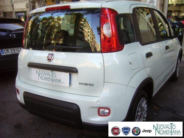 FIAT Panda 1.0 FireFly S&S Hybrid 5°Posto Radio Fiat