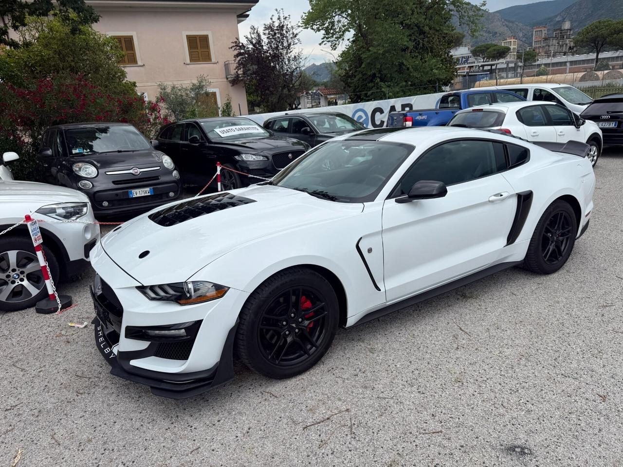 Ford Mustang SHELBY 2.3 EcoBoost 317 cv