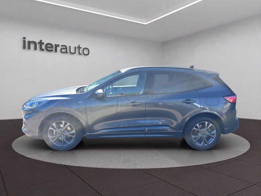 FORD Kuga 1.5 EcoBlue 120 CV 2WD ST-Line del 2022