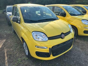 FIAT Pandina III 2024 - Pandina 1.0 firefly hybrid Icon s&s 70cv