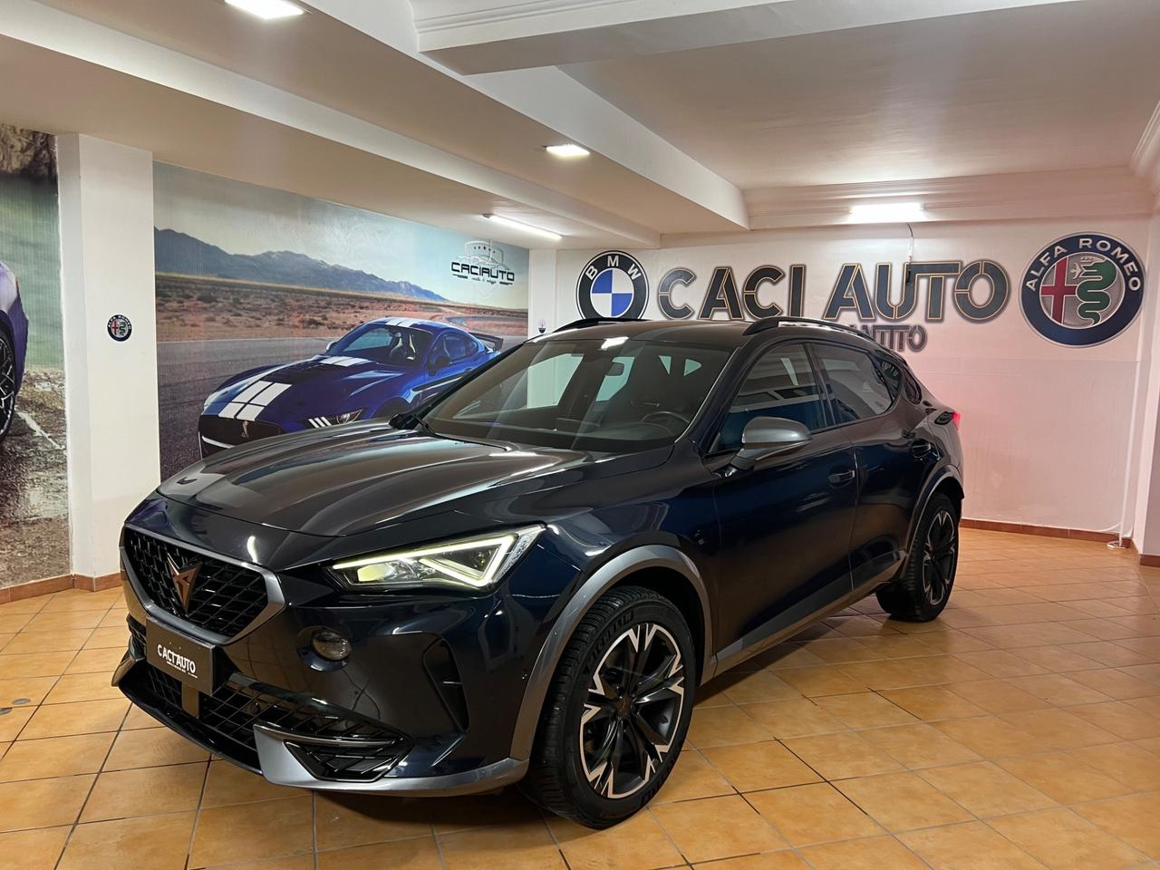 Cupra Formentor 2.0 TDI 4Drive DSG
