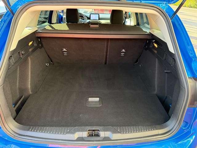 Ford Focus Focus SW 1.5 ecoblue co-pilot*PROMO FINANZIAMENTO*