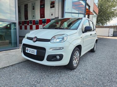 Fiat Panda 1.0 FireFly S&S Hybrid Pandina icon