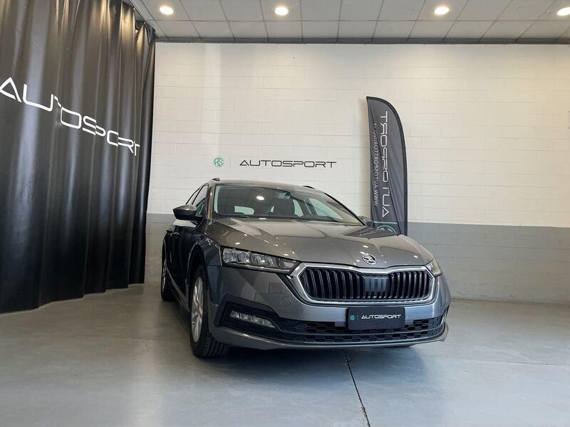 Škoda Octavia Octavia 2.0 tdi evo Ambition 115cv dsg