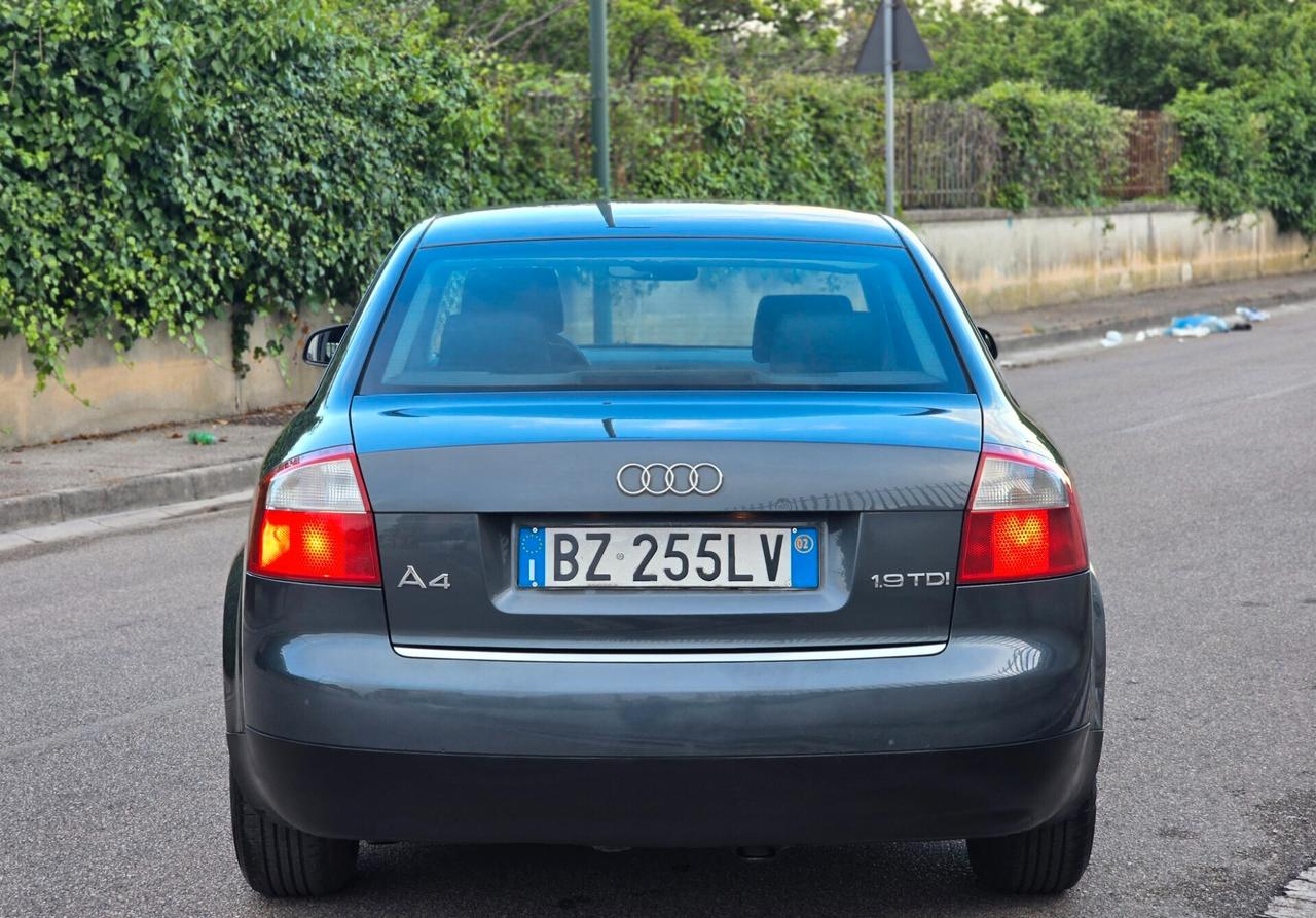 AUDI A4 ISCRIVIBILE ASI 1.9 TDI 101CV PERFETTA