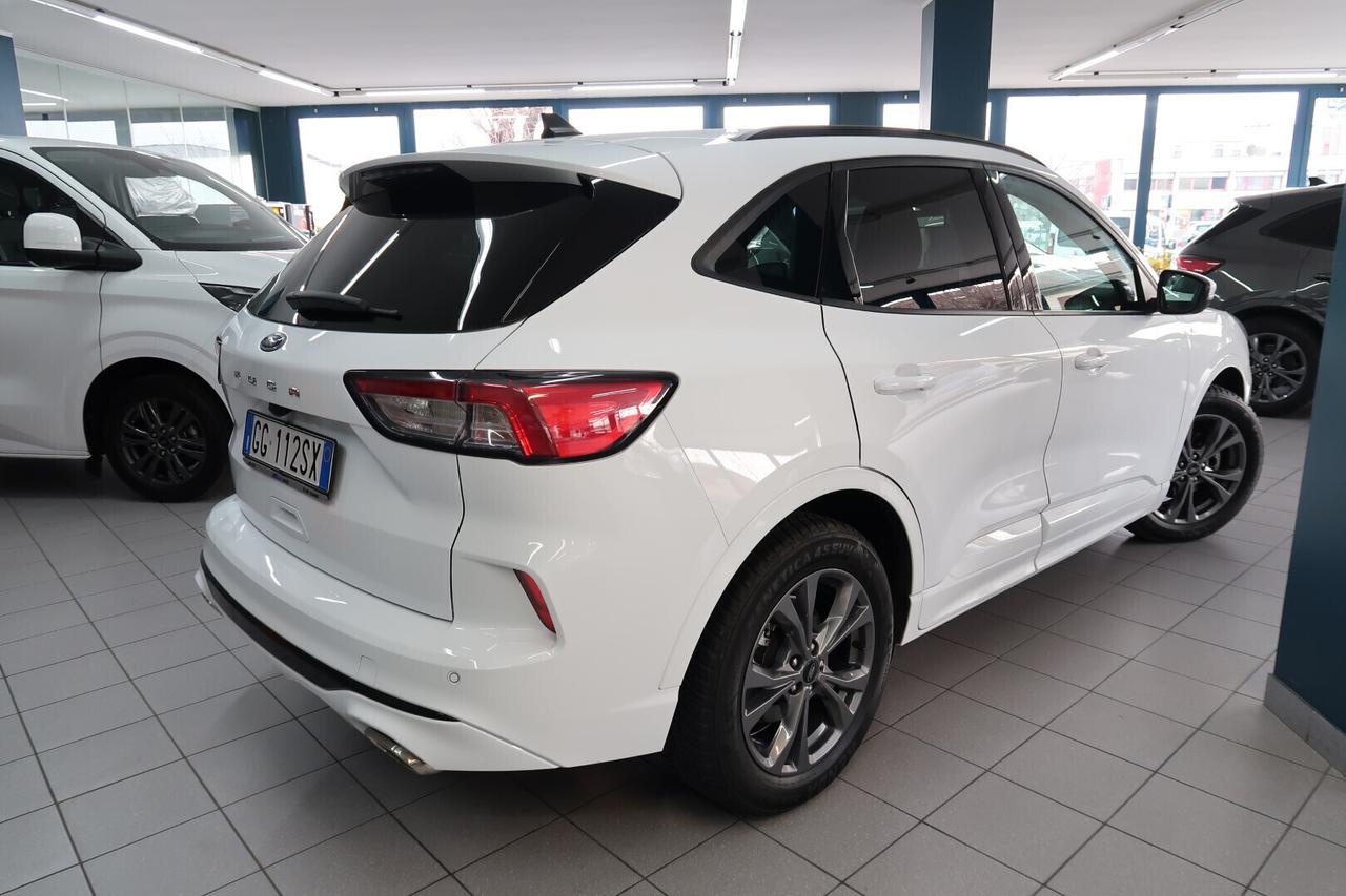 Ford Kuga 1.5 EcoBlue 120 CV aut. ST-Line
