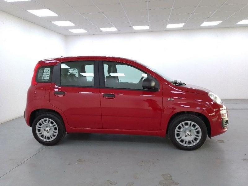 FIAT Pandina 1.0 firefly hybrid Icon s e s 70cv 5p.ti