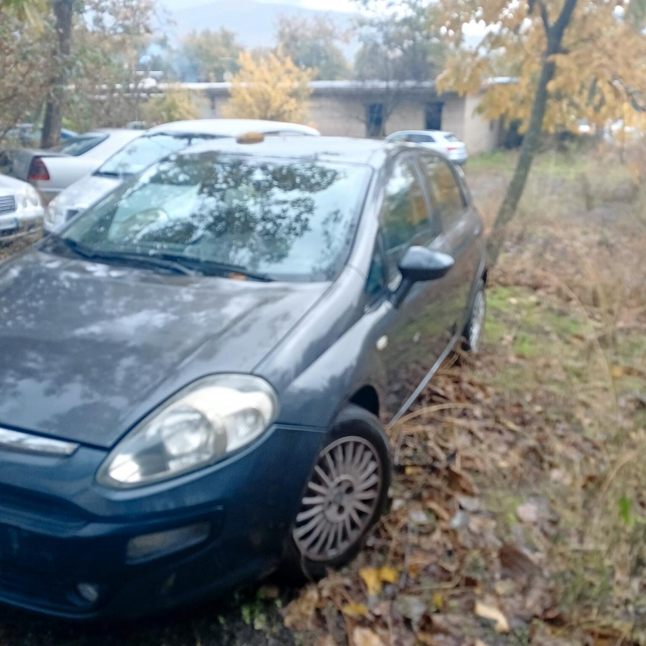 Fiat Punto Evo Punto Evo 1.3 Mjt 75 CV 5 porte Dynamic