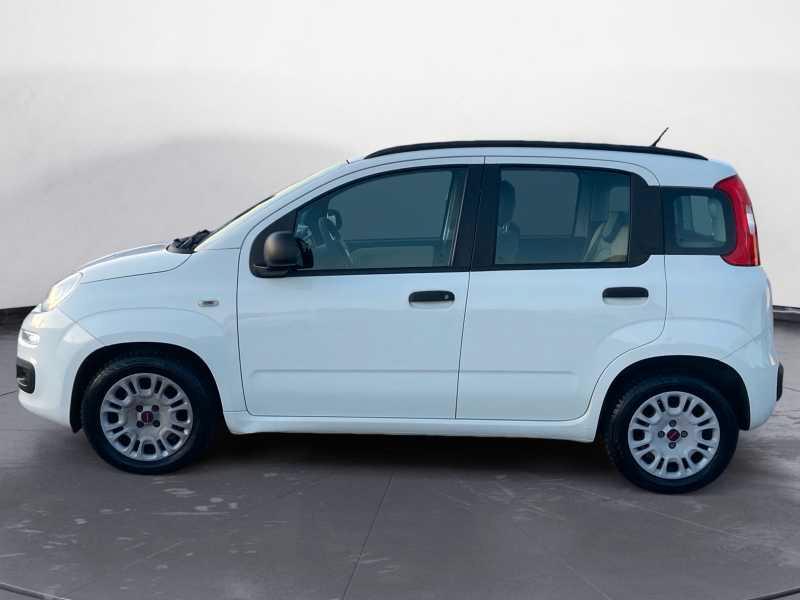 FIAT Panda 1.3 mjt 16v Easy 75cv