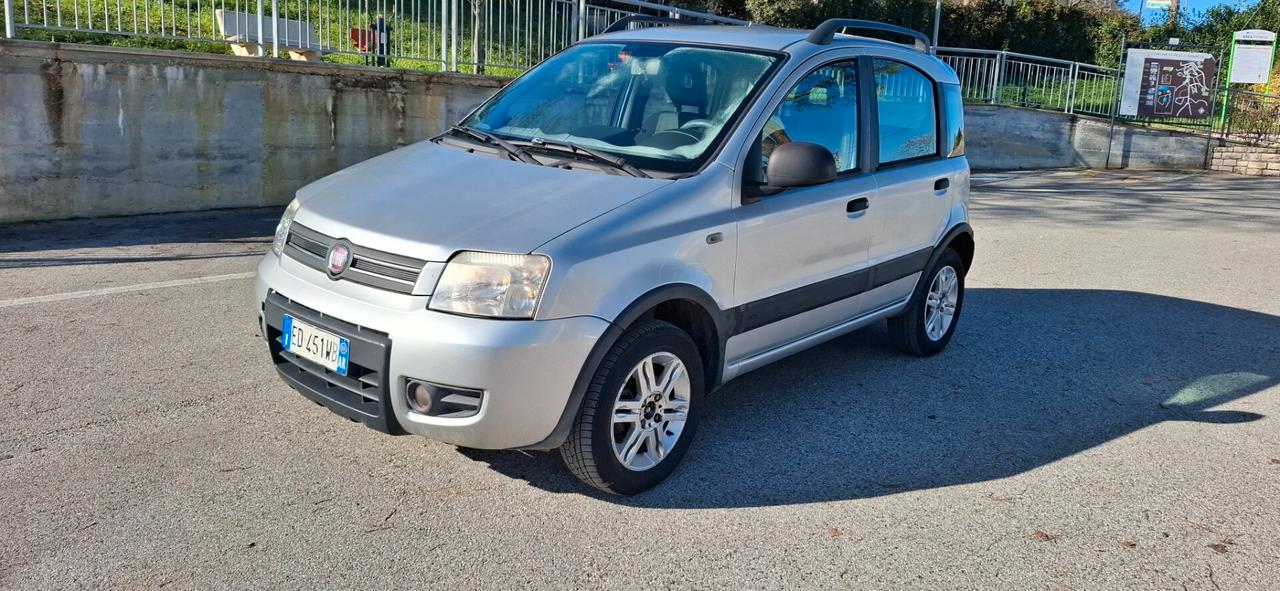 Fiat Panda 1.4 Climbing Natural Power