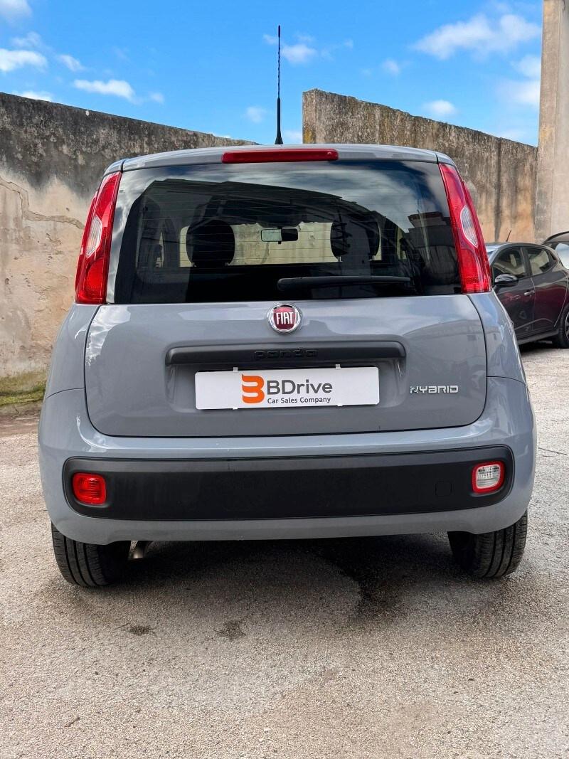 FIAT Panda 3ª serie Panda 1.0 FireFly S&S Hybrid