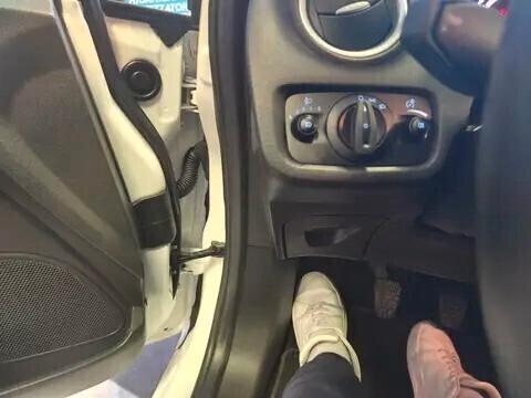 Ford Fiesta 1.4 5 porte Bz.- GPL Black & White Edition