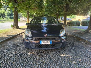 FIAT Punto 1.4 8V 5 porte Natural Power