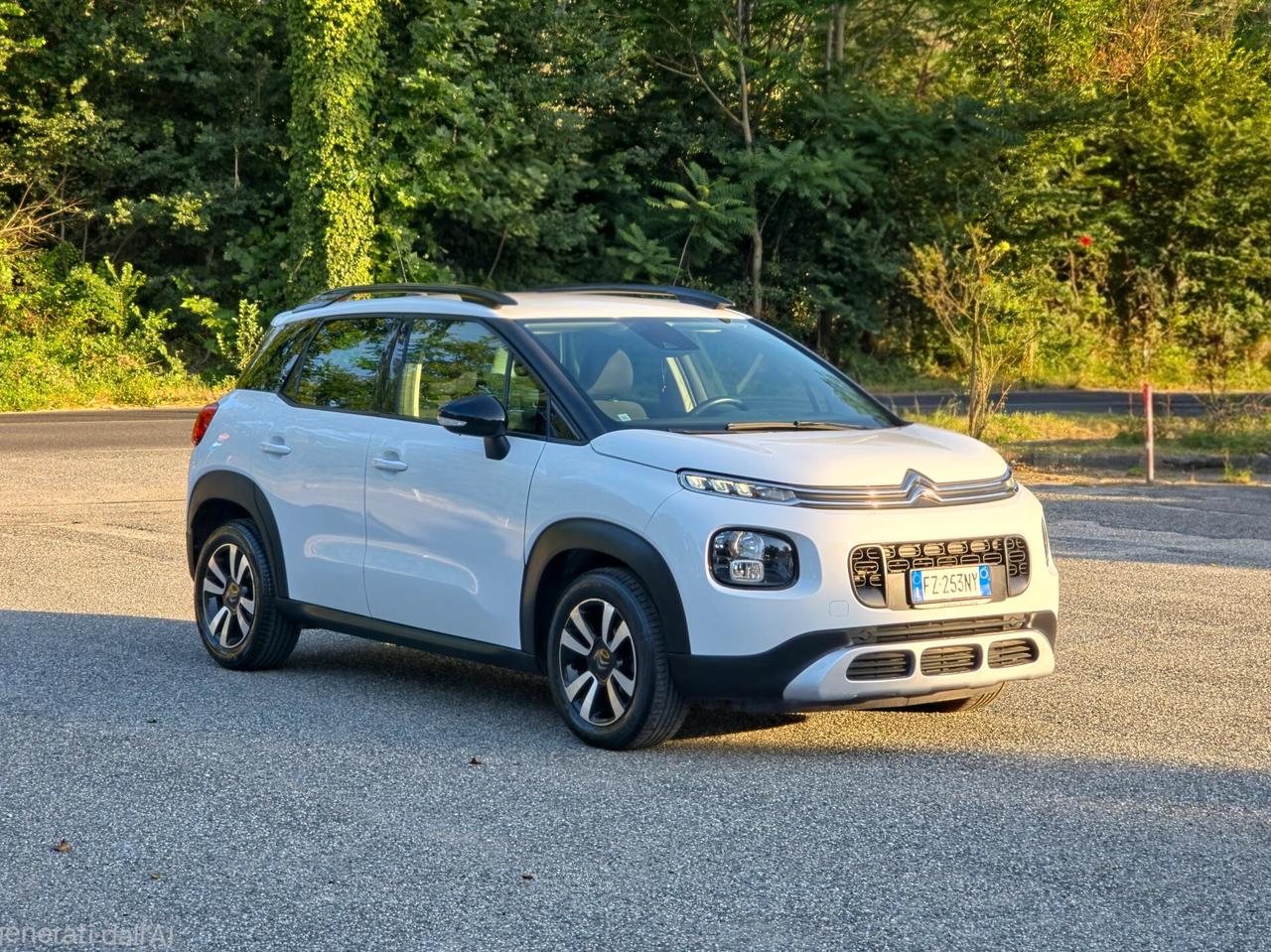 Citroen C3 Aircross PureTech 110 S&S Shine 2019-E6 Manuale NEO
