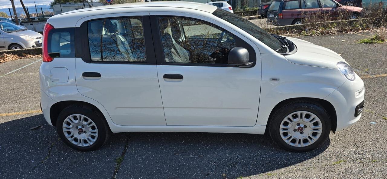 Fiat Panda 1.2 GPL unipro garanzia permute