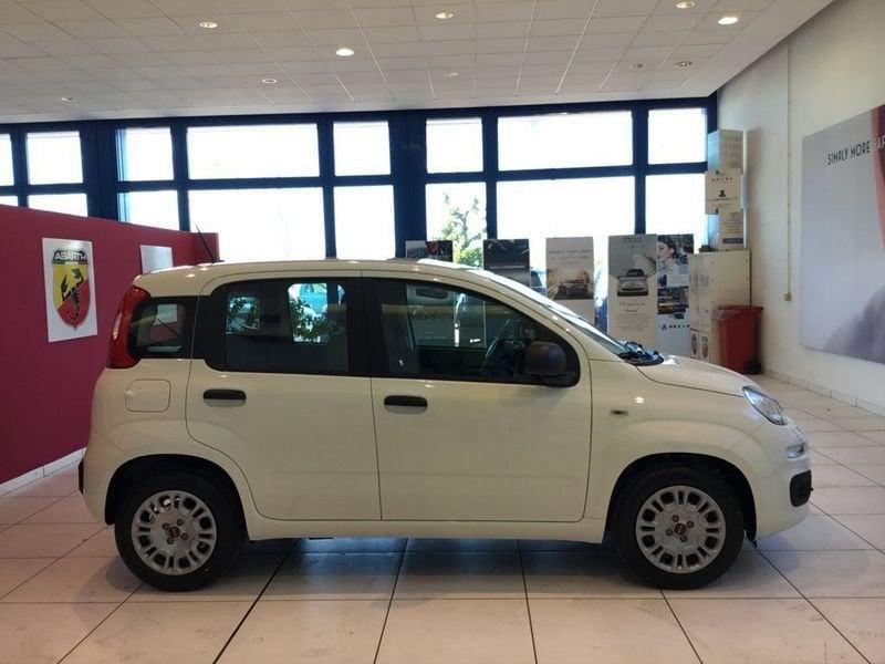 FIAT Panda Panda 1.0 FireFly S&S Hybrid S4 (5P)