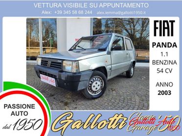 FIAT Panda 1100 i.e. cat College