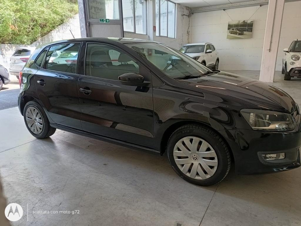 VOLKSWAGEN Polo V 2009 - Polo 1.2 tdi Trendline 5p