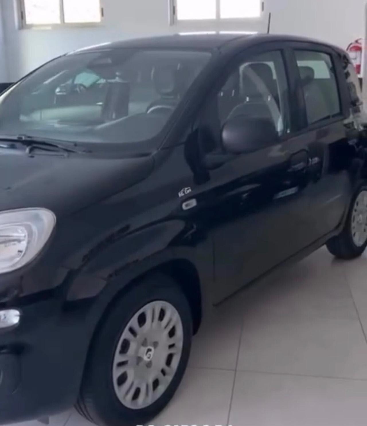 Fiat Panda 1.0 FireFly S&S Hybrid Pandina