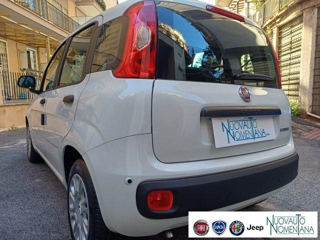 FIAT Panda 1.0 FireFly S&S Hybrid Icon 5°Posto Auto Nuova