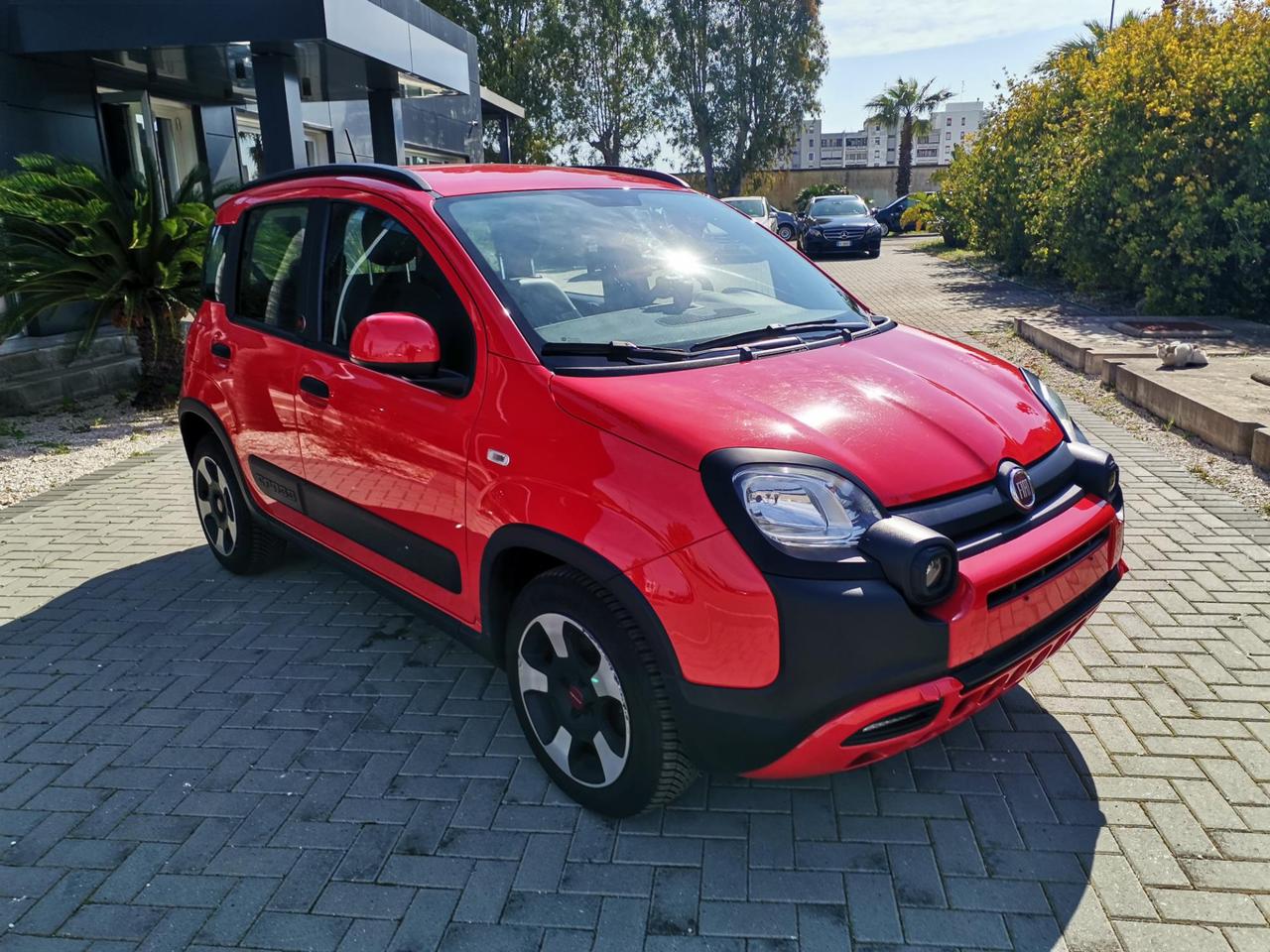 Fiat Panda 1.0 firefly hybrid Sport s&s 70cv